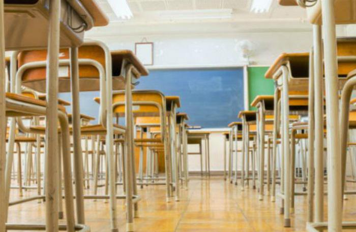 Carolina Goñi (Secretaría de Educación):