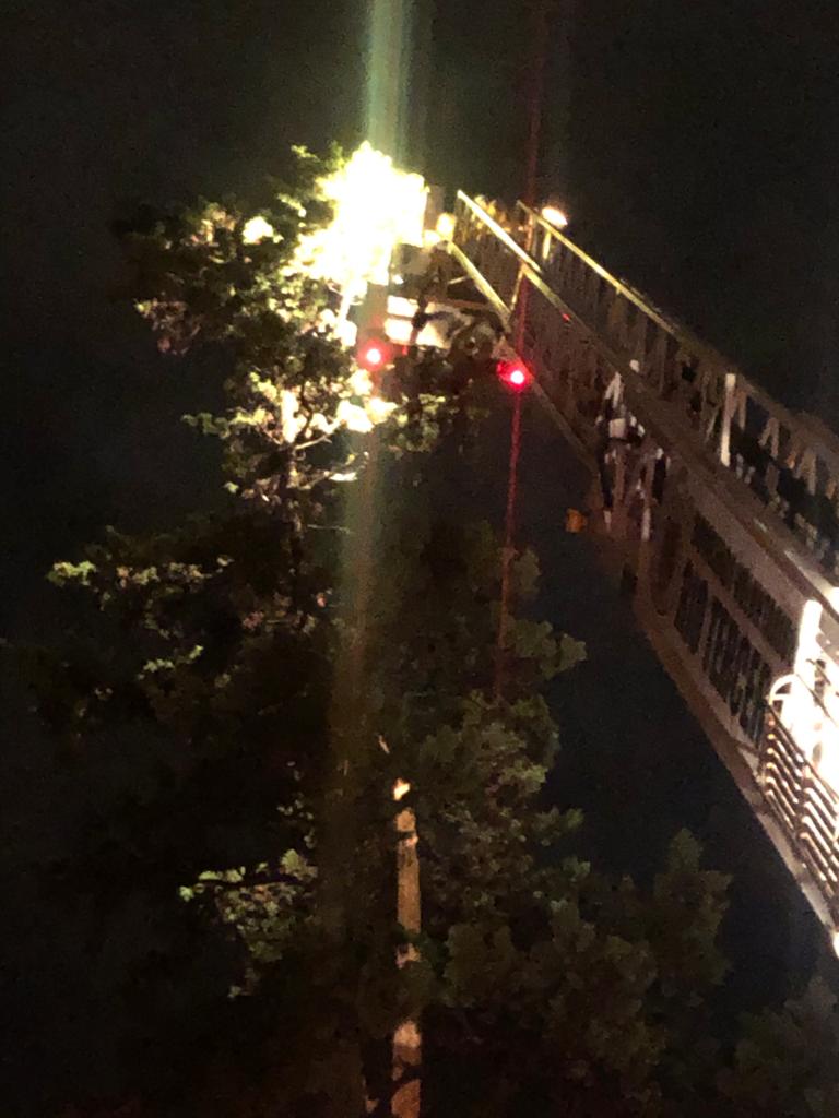 PRINCIPIO DE INCENDIO EN UN PINO POR CAÍDA DE UN RAYO