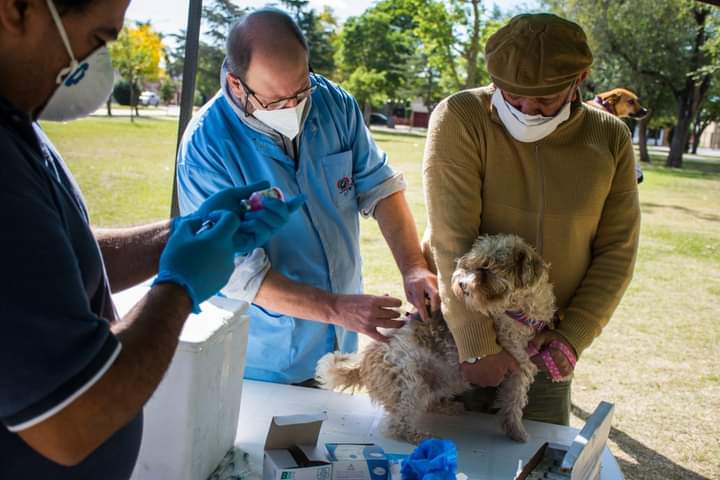 La vacunación antirrábica programada para barrio Montegrande cambio de lugar