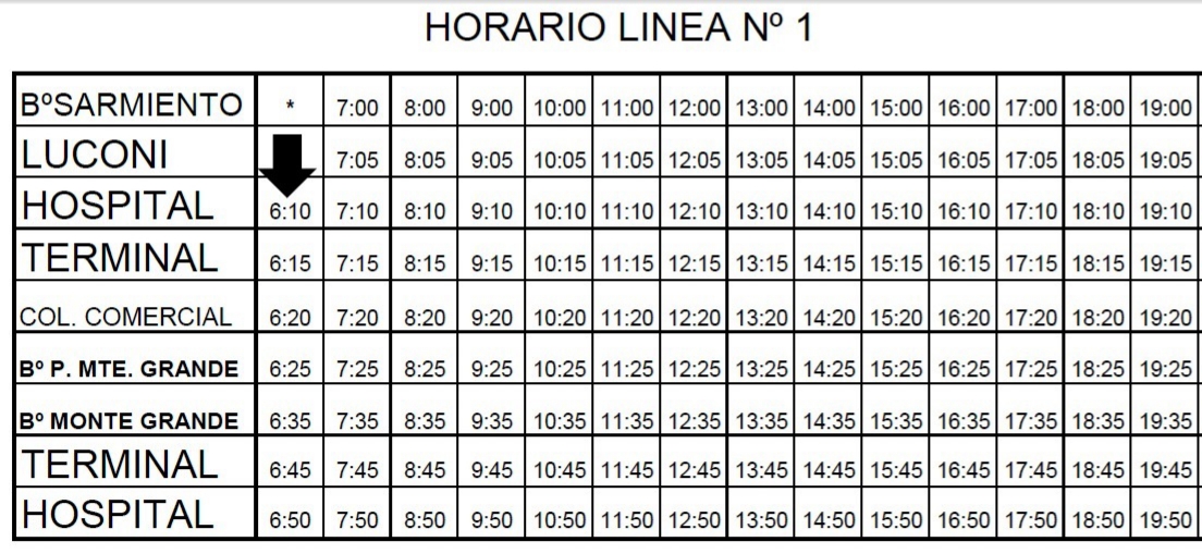 Rio Bus SRL: A partir del día Lunes 31 de Mayo se restablece el servicio de las líneas. 
