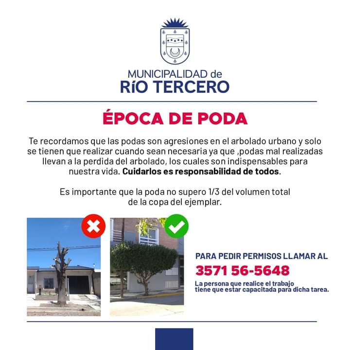 LA MUNICIPALIDAD RECUERDA QUE EN ÉPOCA DE PODA DEBES SACAR PERMISO
