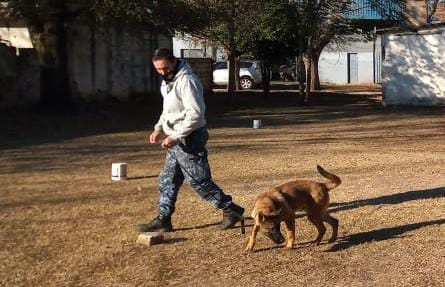 Conmemoración por el 58° Aniversario de la creación de la División Canes