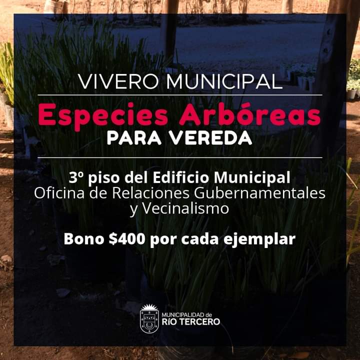 YA ESTÁN DISPONIBLES LOS ÁRBOLES PARA VEREDAS