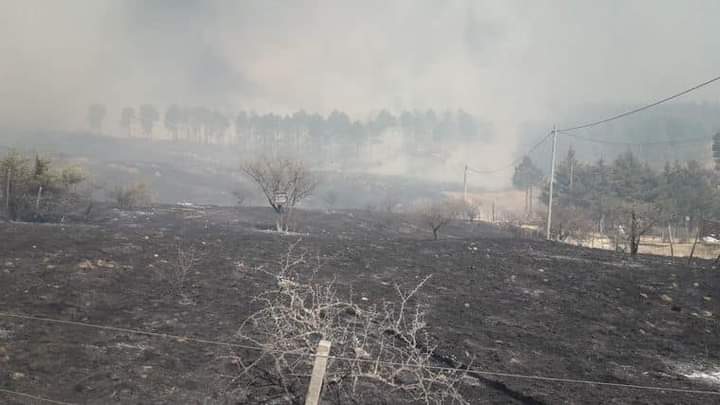 Incendios Athos Pampa y Potrero de Garay están en guardia de cenizas muy activas.