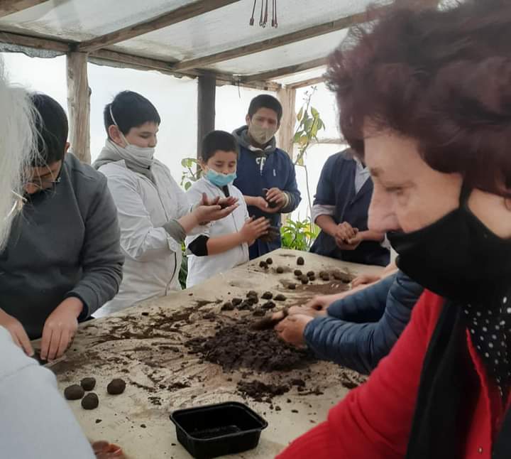 SEMBRANDO ESPERANZAS, BOMBAS DE SEMILLAS