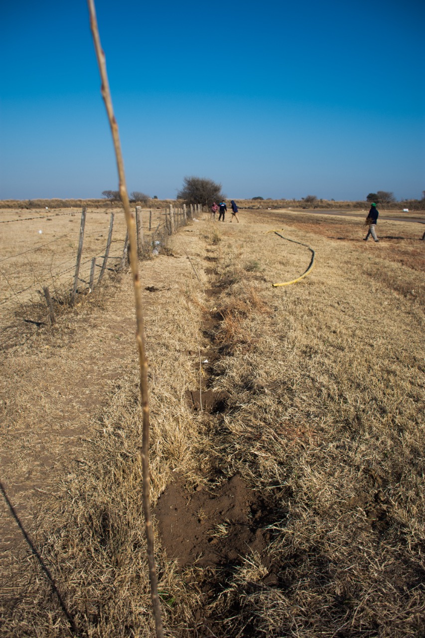 La Municipalidad plantó 400 nuevos árboles en el autódromo