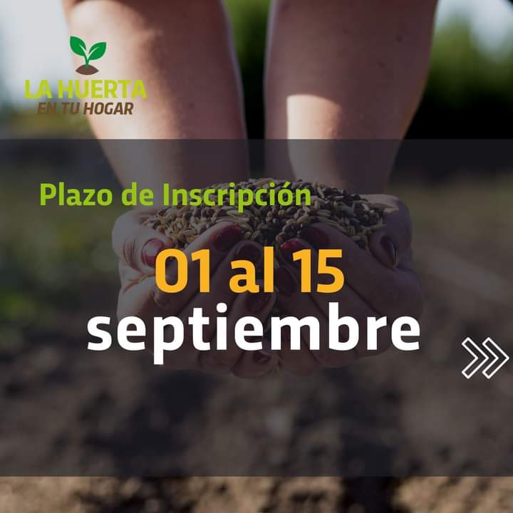 Huerta en Tu Hogar: Se habilitó la inscripción para semillas primavera-verano