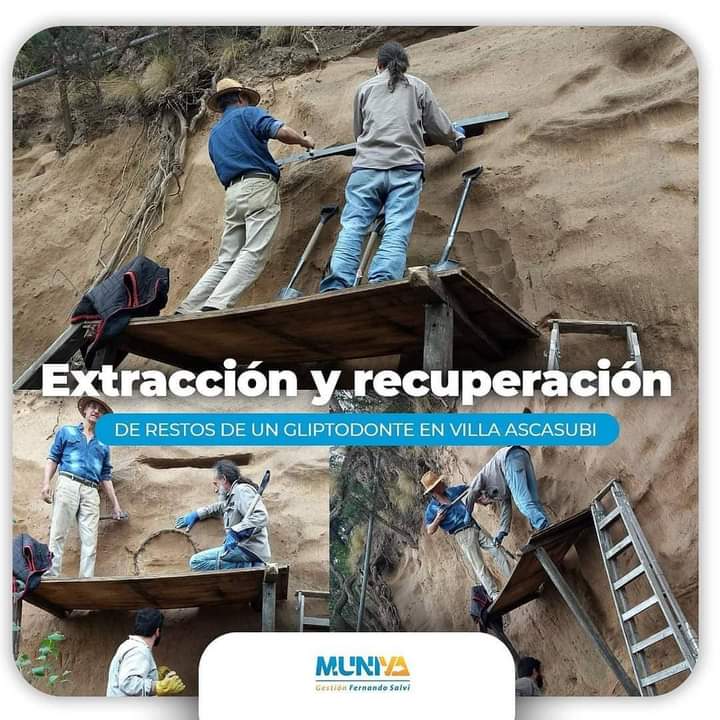 VILLA ASCASUBI TRABAJARÁ EN UN PROYECTO TRAS EL HALLAZGO DEL GLIPTODONTE