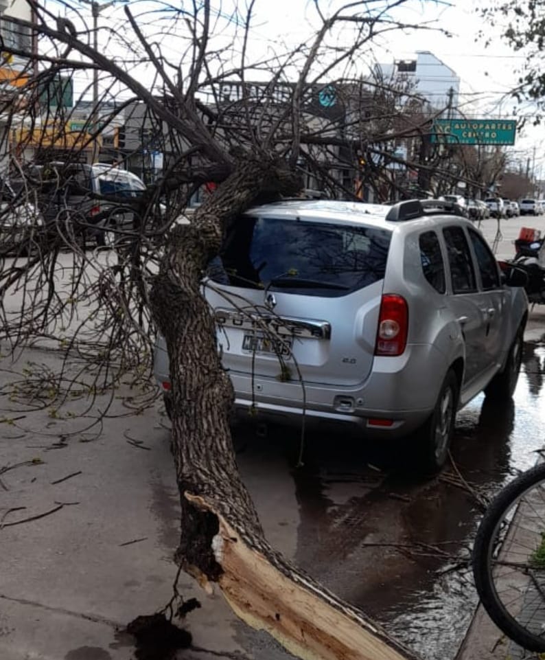 BOMBEROS TUVIERON VARIAS LLAMADAS POR EL FUERTE VIENTO 