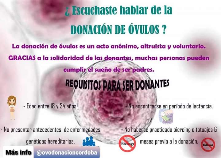 LA IMPORTANCIA DE LA DONACIÓN DE ÓVULOS