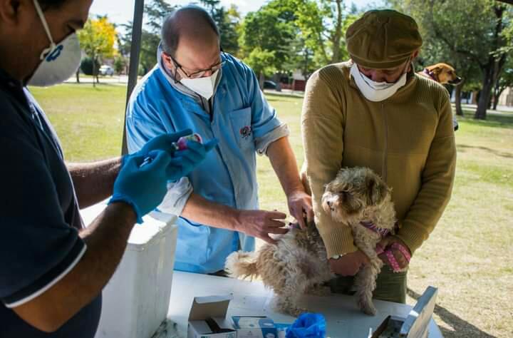SILVINA CISNEROS: LA 2° ETAPA DE LA VACUNACIÓN ANTIRRABICA ES EN LOS BARRIOS QUE NO SE HABÍA IDO 