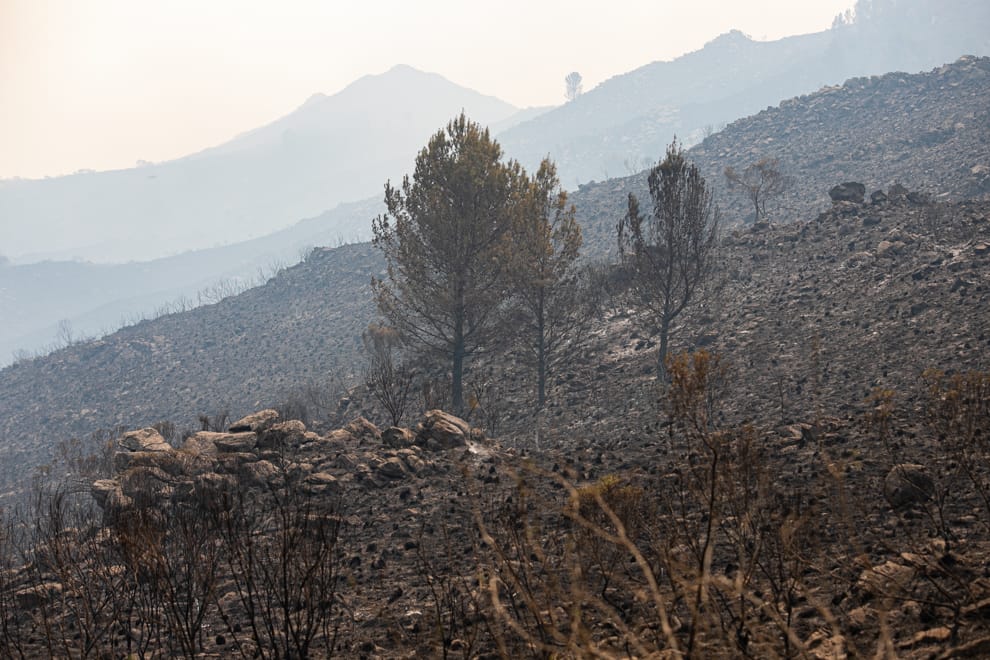 INCENDIOS: NO SE REGISTRAN FOCOS ACTIVOS EN LA PROVINCIA