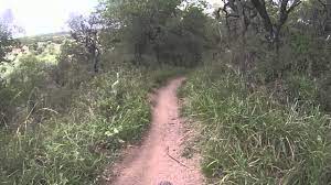 PREOCUPACIÓN DE LA COMISIÓN DE ARBOLADO POR LA DEPREDACIÓN EN LA RESERVA CARACOL