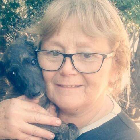 PREOCUPACIÓN DE LAS PROTECCIONISTAS POR DESAPARICIÓN DE PERROS Y DESCONTENTO CON EL MANEJO DE ZOONOSIS