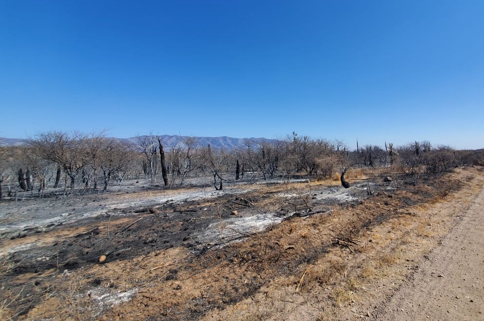 INCENDIOS: NO QUEDAN FOCOS ACTIVOS EN TRASLASIERRA