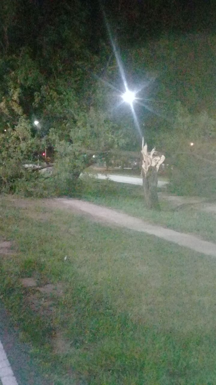 Diego Carinci (Director de Defensa Civil): “Nos sorprendió un poco el viento, llegó a 45 km/h con ráfagas de hasta 85 km/h