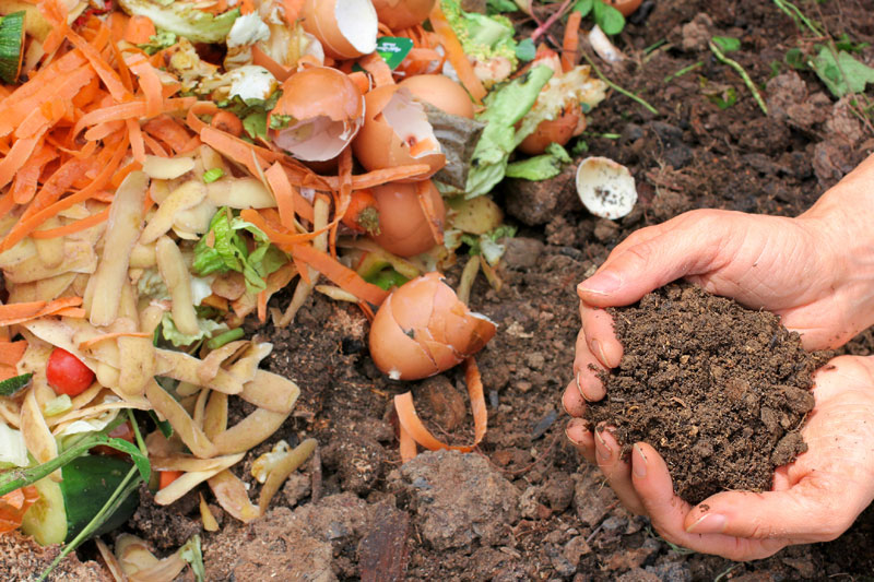 PIDEN A LOS VECINOS MATERIAL ORGÁNICO PARA LA COMPOSTERA DEL VIVERO MUNICIPAL