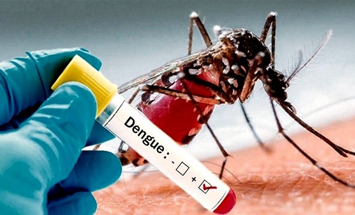 SE DETECTARON DOS CASOS DE DENGUE EN LA CIUDAD