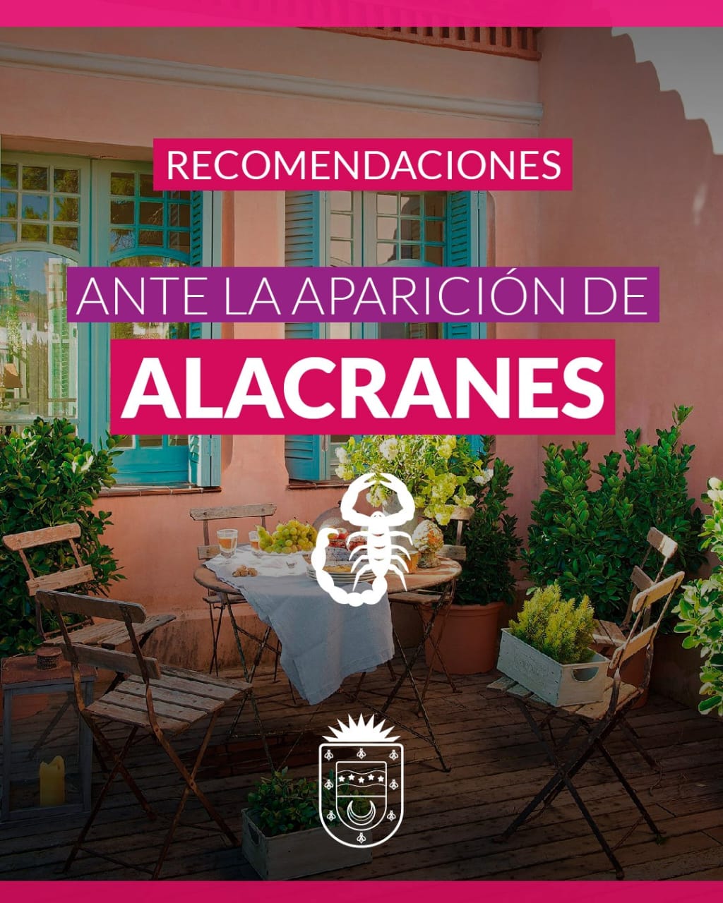 CONOCÉ LAS RECOMENDACIONES ANTE LA APARICIÓN DE ALACRANES