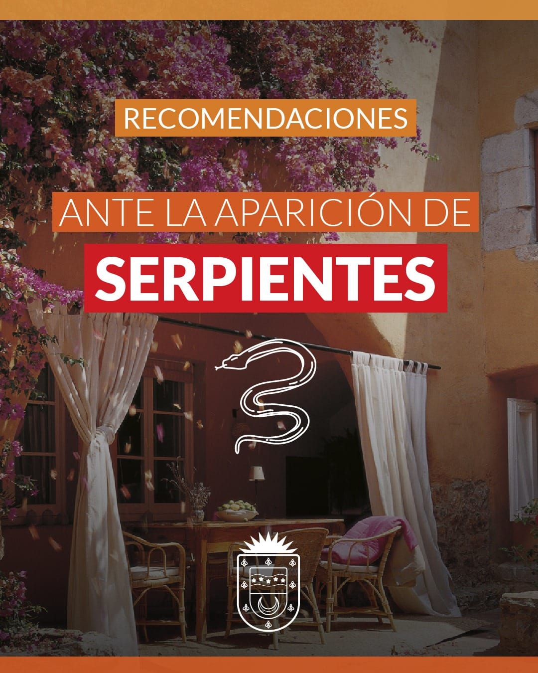 CONOCÉ LAS RECOMENDACIONES ANTE LA APARICIÓN DE SERPIENTES