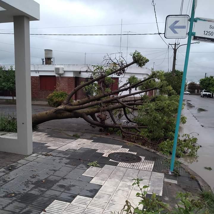 Diego Carinci "El registro m&aacute;ximo de lluvia fue 110 mm"