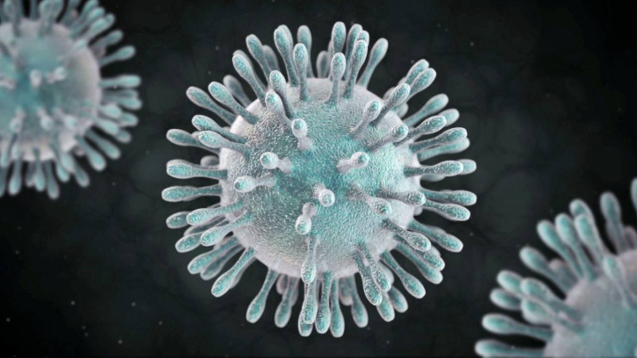 Mediante un comunicado se confirm&oacute; que la mujer aislada no tiene Coronavirus.