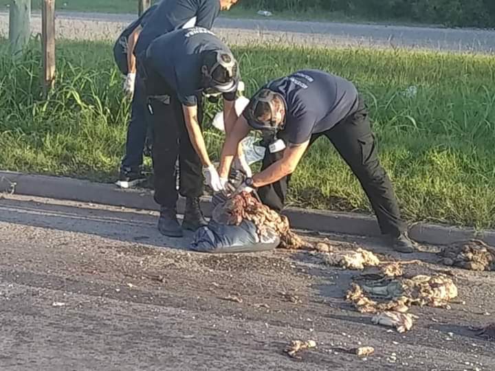 Cami&oacute;n volc&oacute; parte de la carga sobre Avenida Savio.