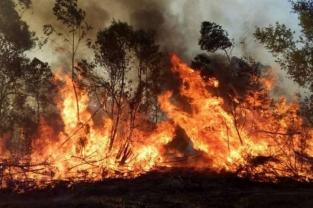 BOMBEROS DE RÍO TERCERO VIAJAN A CORRIENTES A COLABORAR EN LOS INCENDIOS FORESTALES