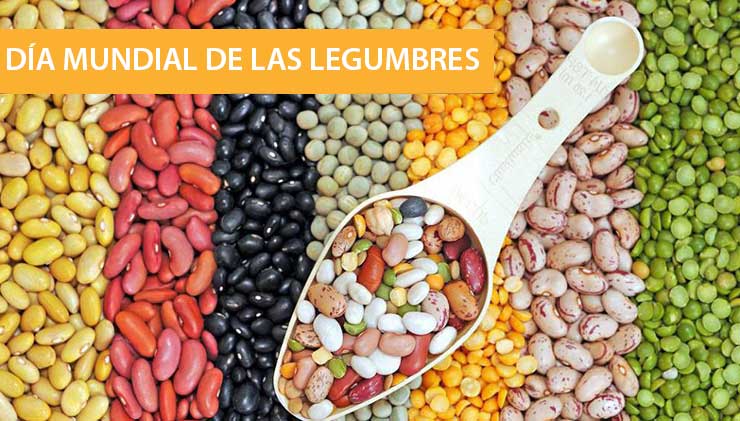DÍA MUNDIAL DE LAS LEGUMBRES: UN SUPER ALIMENTO AL ALCANCE DE TODOS