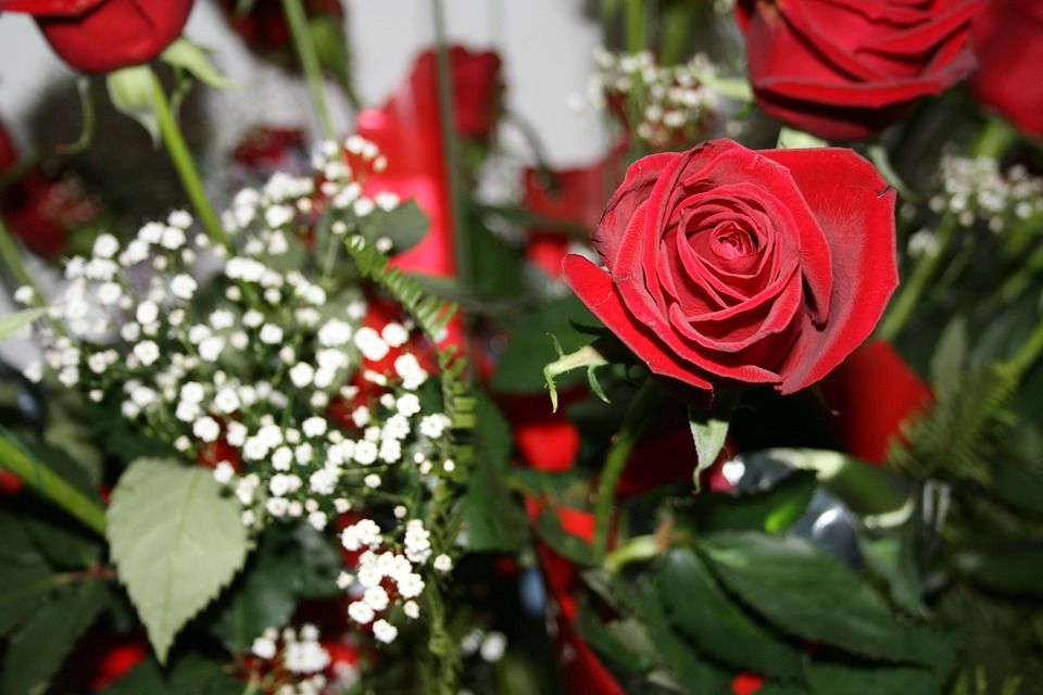  DÍA DE LOS ENAMORADOS LAS FLORES SE MANTIENEN COMO LAS MÁS VENDIDAS 
