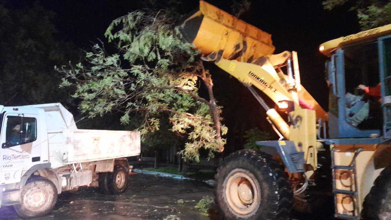 EL MUNICIPIO INFORMÓ SOBRE LOS ÁRBOLES Y POSTES CAÍDOS POR LA TORMENTA