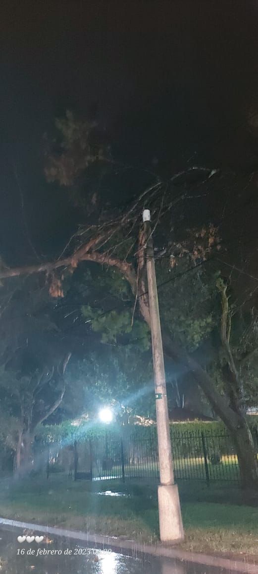 BOMBEROS TRABAJÓ CON DOS DOTACIONES COLABORANDO PARA SOLUCIONAR PROBLEMAS EN LA CIUDAD