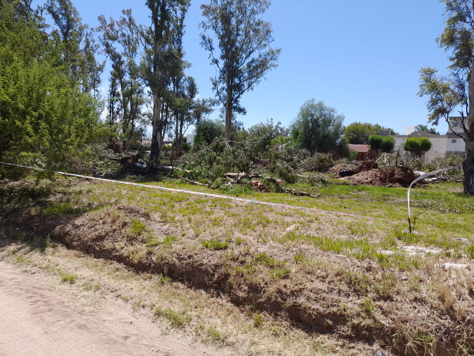 MAÑANA LA MUNICIPALIDAD REALIZARÁ LA REMOCIÓN DE LOS ÁRBOLES DERRIBADOS EN BARRIO MARIN MAROTO 
