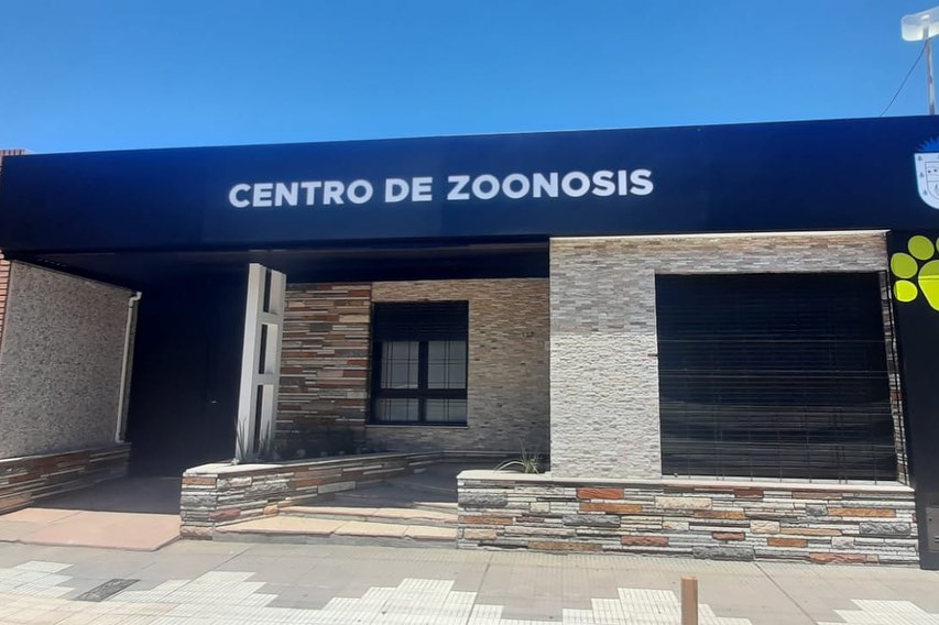 HERMES MARI: SE ESTÁ CASTRANDO UN  PROMEDIO DE 200 ANIMALES POR MES