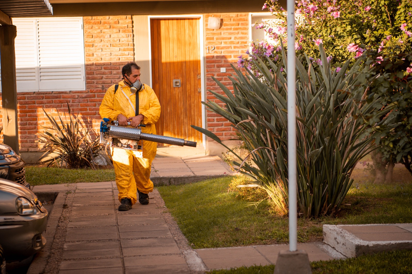 CUATRO CASOS AUTÓCTONOS DE DENGUE EN BARRIOS LAS FLORES Y VILLA ZOILA