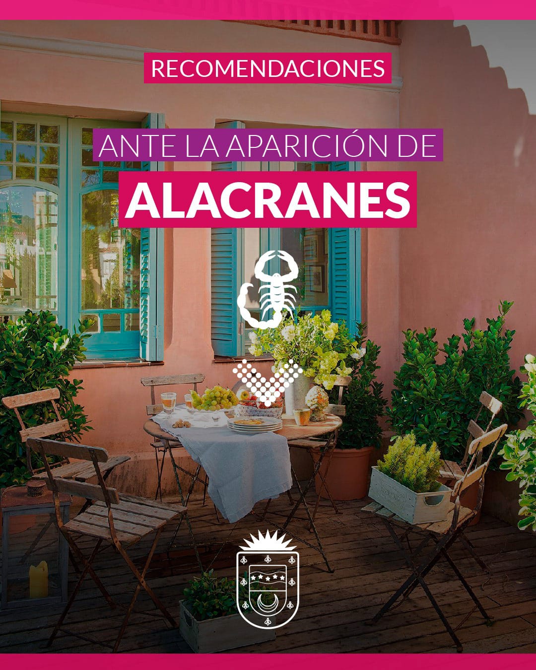 Recomendaciones ante la aparición de alacranes 