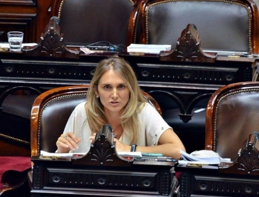 Grooming y protección infantil: la diputada Gabriela Brouwer de Koning presentó un proyecto para actualizar la legislación