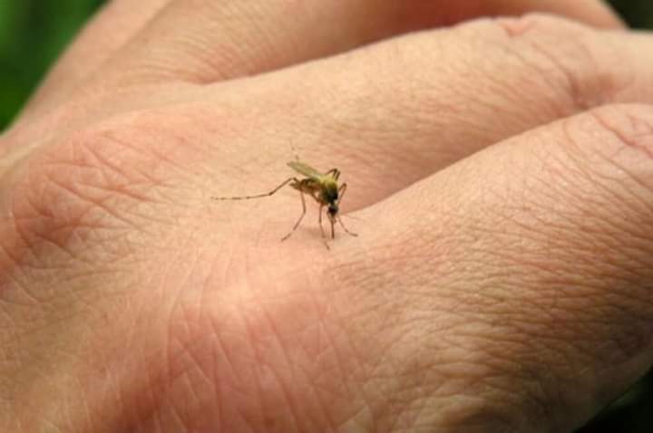 Almafuerte: Detectan el primer caso de Dengue 