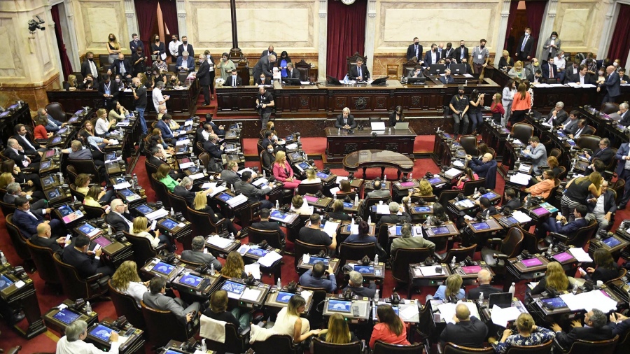  Discusión en Diputados: cuáles fueron las posiciones predominantes en el debate