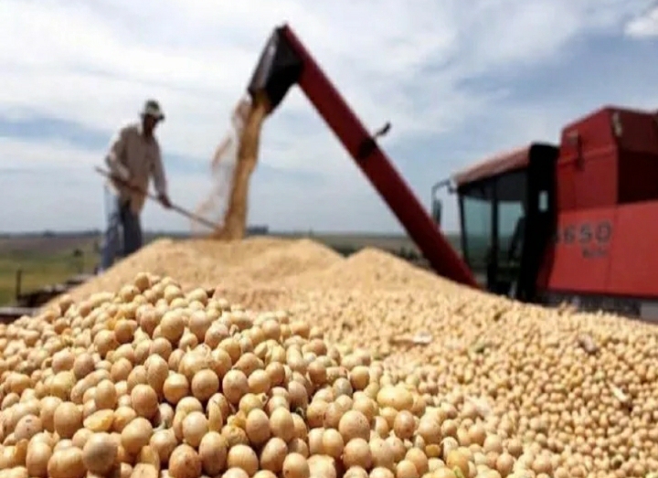 Cierran las exportaciones de la harina y el aceite de soja