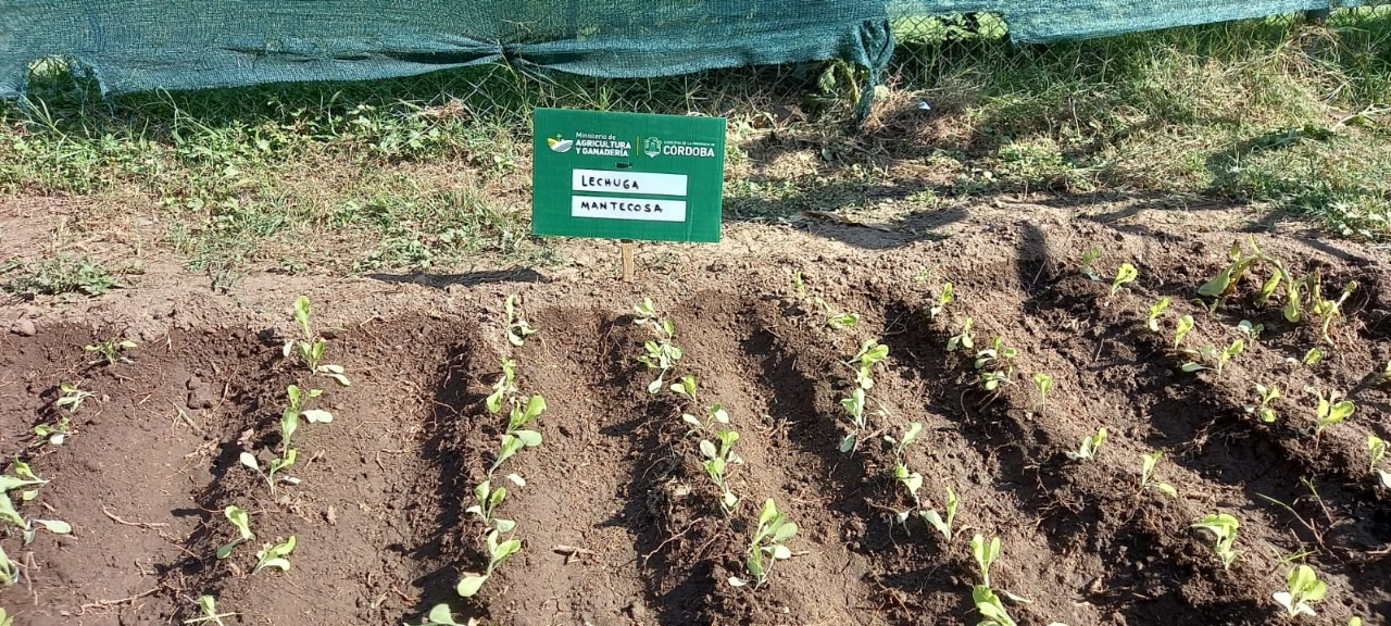  Huerta en tu Hogar: Se lanzó la temporada otoño-invierno