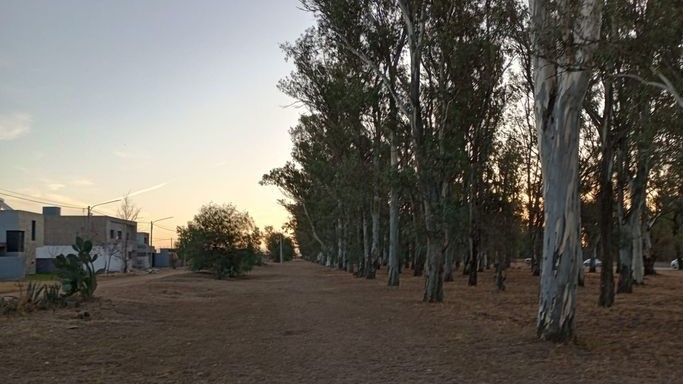 BARRIO MARÍN MAROTO CELEBRA EL INICIO DE OBRAS PARA SU ESPACIO VERDE
