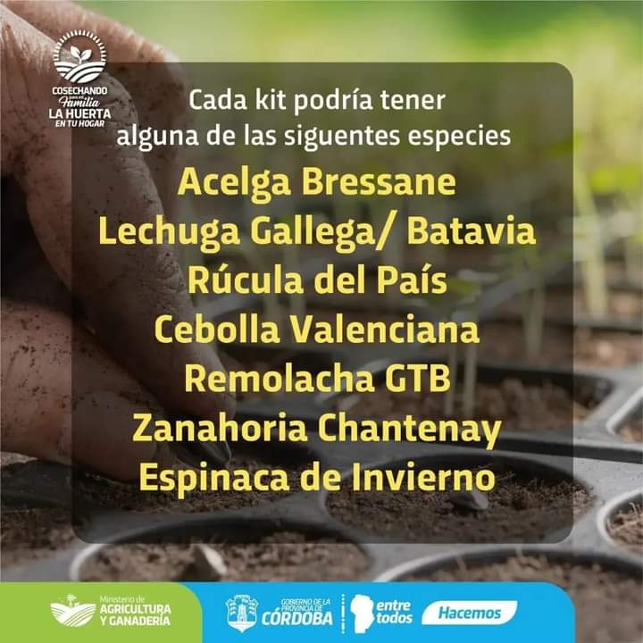 HABLAMOS CON ROMINA CAREZZANO SOBRE LAS INSCRIPCIONES PARA EL PROGRAMA LA HUERTA EN TU HOGAR