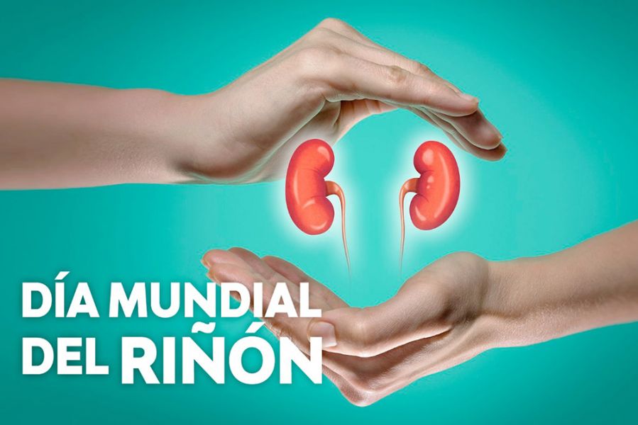 Luis Bazán: en Argentina 5 millones de personas tienen problemas renales y sólo lo sabe uno de cada diez