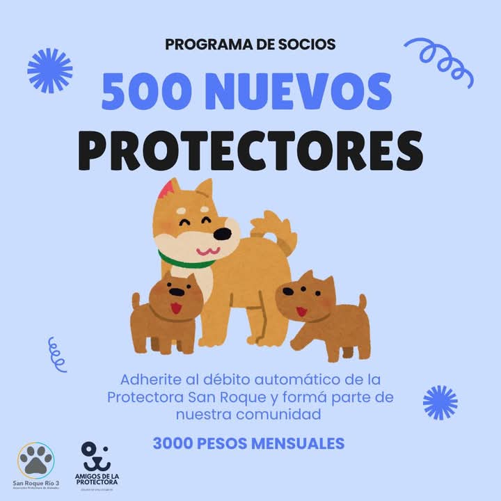 Nueva campaña de la sociedad protectora de animales: 500 nuevos socios para un refugio mejor