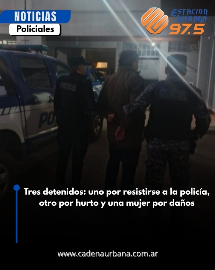 Tres detenidos: uno por resistirse a la polic&iacute;a, otro por hurto y una mujer por da&ntilde;os