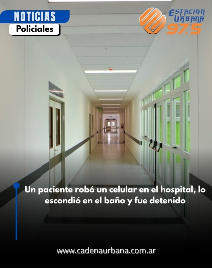 Un paciente rob&oacute; un celular en el hospital, lo escondi&oacute; en el ba&ntilde;o y fue detenido
