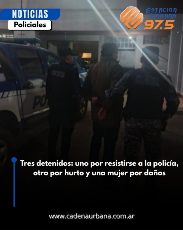 Tres detenidos: uno por resistirse a la polic&iacute;a, otro por hurto y una mujer por da&ntilde;os