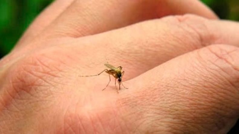 DIO NEGATIVO EL ANÁLISIS POR EL POSIBLE CASO DE DENGUE