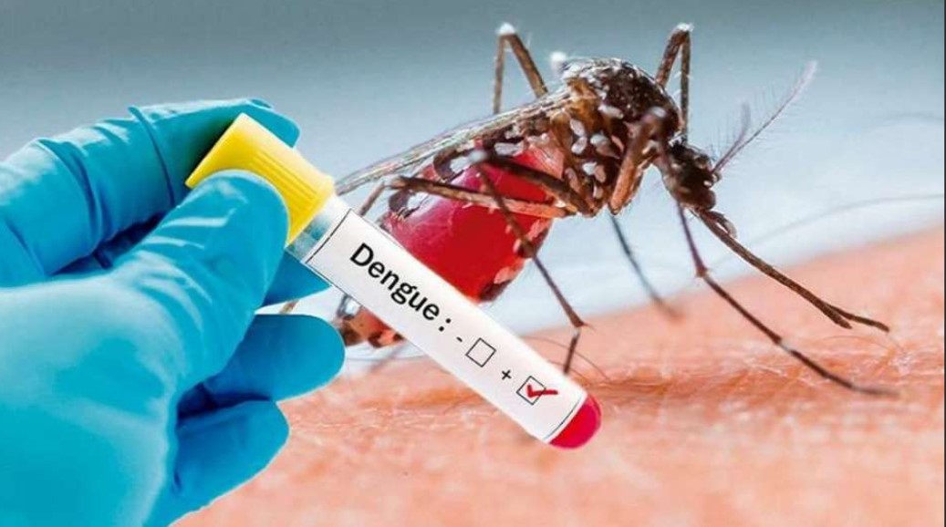 DOS NUEVOS CASOS DE DENGUE FUERON DETECTADOS EN UN LABORATORIO PRIVADO